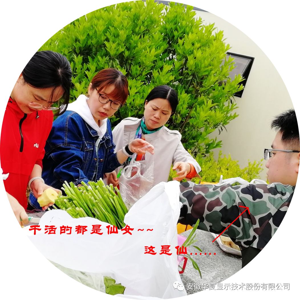 1617069496154677.jpg 3.jpg